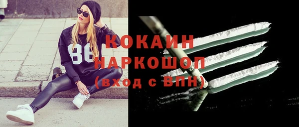 PSILOCYBIN Пересвет