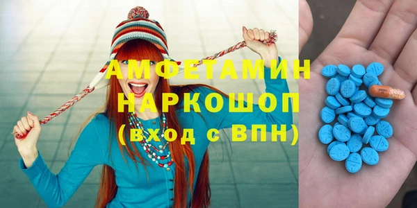 гашик Пестово